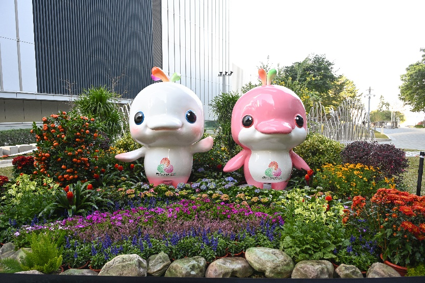 在以下指定, 佳绩 在以下指定, 佳绩