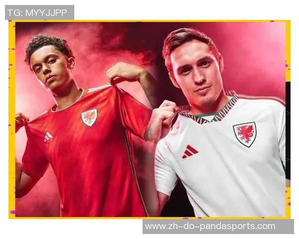 威尔士足球国家队明星球员盘点与未来潜力分析